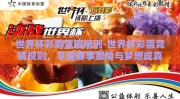 世界杯彩票竞猜规则-世界杯彩票竞猜规则，享受赛事激情与梦想成真的艺术