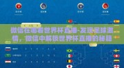 微信在哪看世界杯直播-发现足球激情，微信中解锁世界杯直播的秘籍