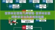 世界杯彩票有几种买法-世界杯彩票的多样买法及其选择指南