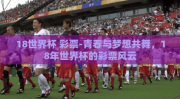 18世界杯 彩票-青春与梦想共舞，18年世界杯的彩票风云