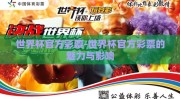 世界杯官方彩票-世界杯官方彩票的魅力与影响