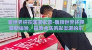看世界杯在哪买彩票-解锁世界杯观赛新体验，探索合法购彩渠道的乐趣与学问