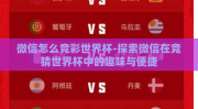 微信怎么竞彩世界杯-探索微信在竞猜世界杯中的趣味与便捷