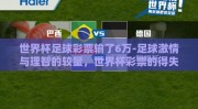 世界杯足球彩票输了6万-足球激情与理智的较量，世界杯彩票的得失之间