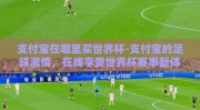 支付宝在哪里买世界杯-支付宝的足球激情，在线享受世界杯赛事新体验