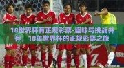 18世界杯有正规彩票-趣味与挑战并存，18年世界杯的正规彩票之旅