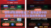 世界杯竞猜彩票丢了-重寻遗憾中的微光，世界杯竞猜彩票的失而复得