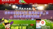 世界杯彩票买比分-世界杯彩票，买比分中的激情与挑战