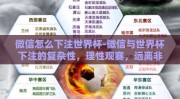 微信怎么下注世界杯-微信与世界杯下注的复杂性，理性观赛，远离非正规途径