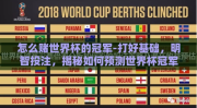 怎么赌世界杯的冠军-打好基础，明智投注，揭秘如何预测世界杯冠军的策略