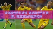 微信群世界杯赌博-微信群世界杯赌博，暗流涌动的数字陷阱