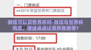 微信可以买世界杯吗-微信与世界杯购票，便捷通道还是灰色地带？