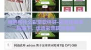 世界杯什么彩票软件好-世界杯赛事热潮下，优选彩票软件指南