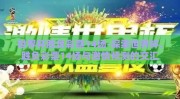 世界杯胜负彩票14场-探索世界杯，胜负彩票14场与激情预测的交汇