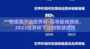在哪里下注世界杯-探寻最佳路径，2023世界杯下注的智慧选择