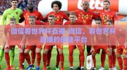 微信看世界杯直播-微信，看世界杯直播的便捷平台