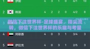 微信下注世界杯-足球盛宴，指尖流转，微信下注世界杯的乐趣与考量