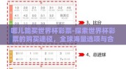 哪儿能买世界杯彩票-探索世界杯彩票的购买途径，全球海量选项与合法合规的指南