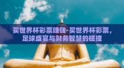 买世界杯彩票赚钱-买世界杯彩票，足球盛宴与财务智慧的碰撞