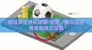 微信买世界杯赌球-警醒，微信买世界杯赌球之深渊