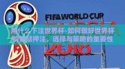 用什么下注世界杯-如何做好世界杯的智慧押注，选择与策略的重要性
