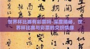 世界杯比赛有彩票吗-深度揭秘，世界杯比赛与彩票的交织情缘