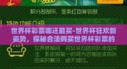 世界杯彩票哪还能买-世界杯狂欢新姿势，探秘合法购买世界杯彩票的途径