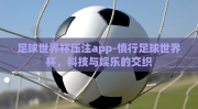 足球世界杯压注app-慎行足球世界杯，科技与娱乐的交织