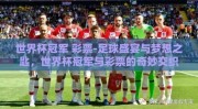 世界杯冠军 彩票-足球盛宴与梦想之匙，世界杯冠军与彩票的奇妙交织