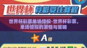世界杯彩票单场倍投-世界杯彩票，单场倍投的激情与策略