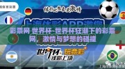 彩票网 世界杯-世界杯狂潮下的彩票网，激情与梦想的碰撞