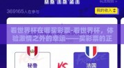 看世界杯在哪买彩票-看世界杯，体验激情之外的幸运——买彩票的正确指南