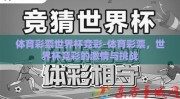 体育彩票世界杯竞彩-体育彩票，世界杯竞彩的激情与挑战