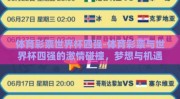 体育彩票世界杯四强-体育彩票与世界杯四强的激情碰撞，梦想与机遇的交汇