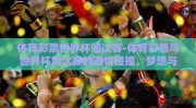 体育彩票世界杯淘汰赛-体育彩票与世界杯淘汰赛的激情碰撞，梦想与运气的交响曲