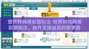 世界杯网易彩票投注-世界杯与网易彩票投注，揭开足球盛宴的数字魔力