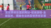 买世界杯彩票的网站-足球激情·全球狂欢，揭秘合法购买世界杯彩票的便捷之径