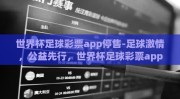 世界杯足球彩票app停售-足球激情，公益先行，世界杯足球彩票app为何选择暂停