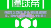 微信怎么买球世界杯-智慧球遇新篇章，微信平台如何轻松入手世界杯赛事