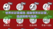 世界杯彩票组选-揭秘世界杯彩票，组选攻略与策略