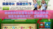 足球世界杯彩票怎么赔-足球世界杯，惊喜与激情的交汇，世界杯彩票赔付全解析