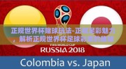 正规世界杯赌球玩法-正视足彩魅力，解析正规世界杯足球彩票的趣味玩法与安全投注原则