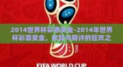 2014世界杯彩票奖金-2014年世界杯彩票奖金，收获与期许的狂欢之夜