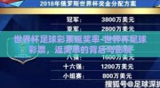 世界杯足球彩票返奖率-世界杯足球彩票，返奖率的背后与影响