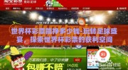 世界杯彩票能挣多少钱-玩转足球盛宴，探索世界杯彩票的获利空间