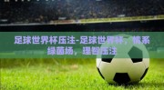 足球世界杯压注-足球世界杯，情系绿茵场，理智压注