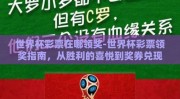世界杯彩票在哪领奖-世界杯彩票领奖指南，从胜利的喜悦到奖券兑现