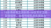 18世界杯有正规彩票-18世界杯正规彩票探析，合规与娱乐的完美融合