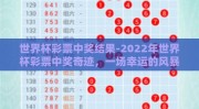 世界杯彩票中奖结果-2022年世界杯彩票中奖奇迹，一场幸运的风暴
