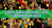 体育彩票 世界杯-激情与幸运，体育彩票与世界杯的交响乐章